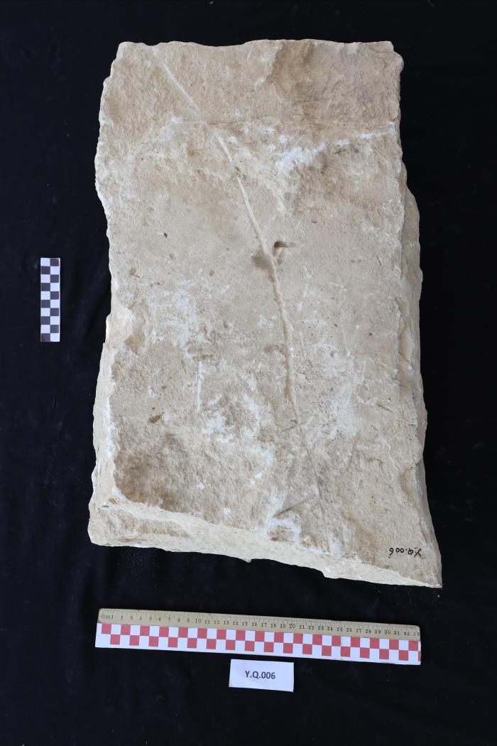 شاهد قبر من الحجر الرملي، القرارة، 2025