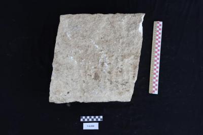 A sandstone, Al-Qarara, 2025