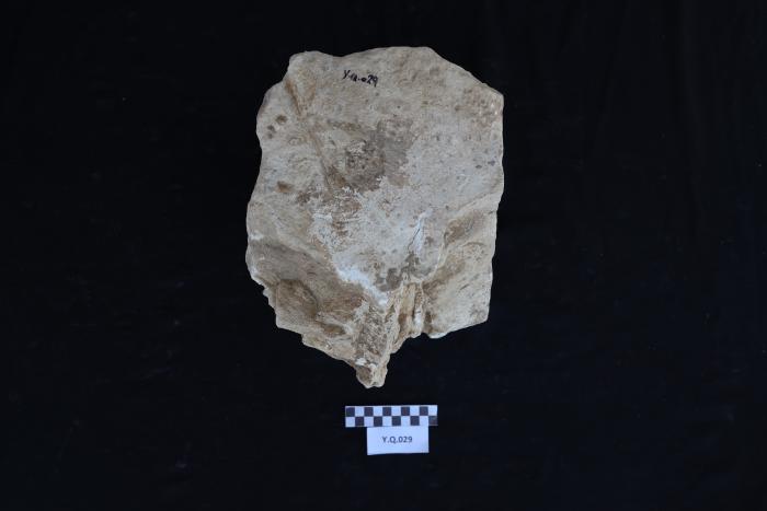 شاهد قبر من الحجر الرملي، القرارة، 2025