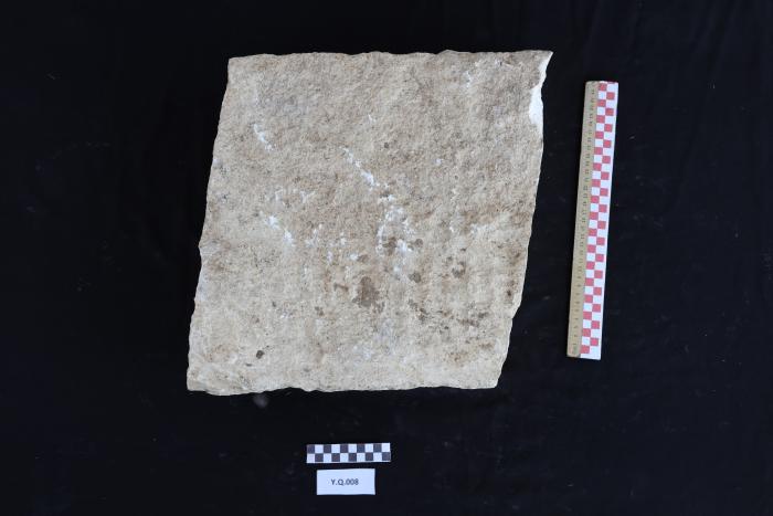 A sandstone, Al-Qarara, 2025