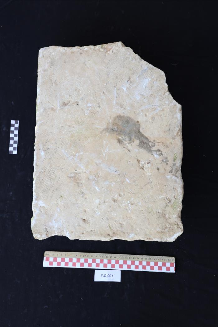 A sandstone, Al-Qarara, 2025