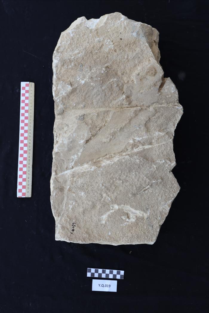 Sandstone gravestone, Al -Qarara, 2025