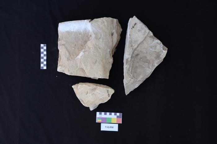 شاهد قبر من الحجر الرملي، القرارة، 2025