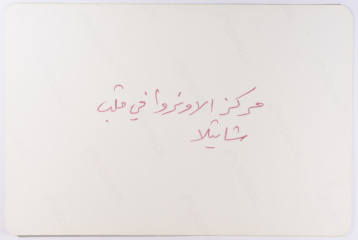 حي مدمر، مخيم شاتيلا، 1980- 1989