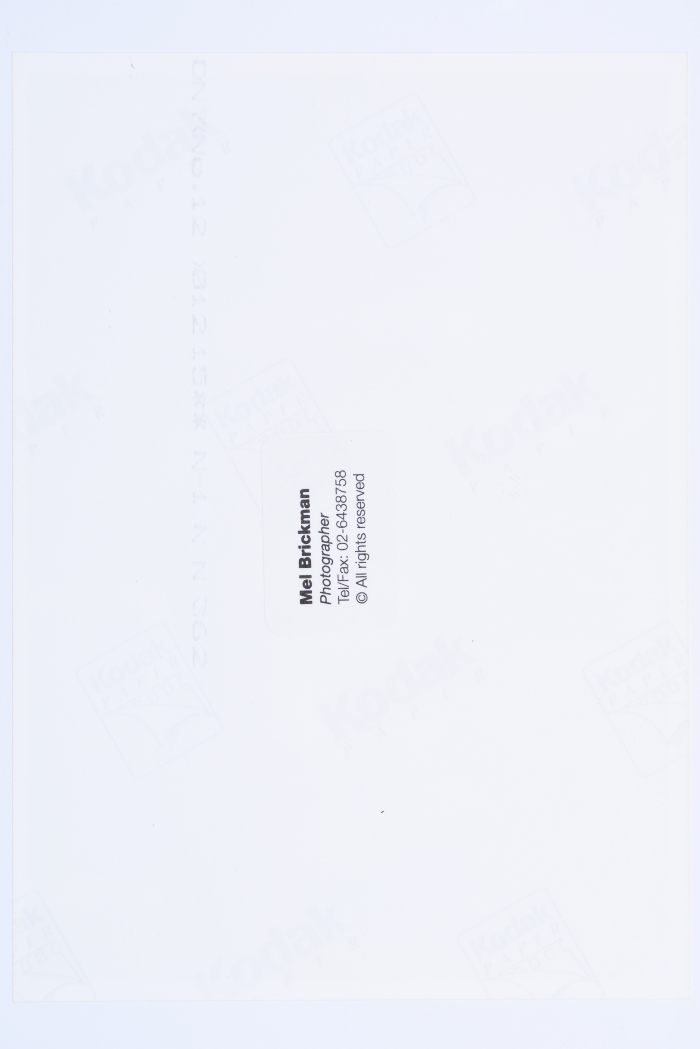 The theatrical performance of 