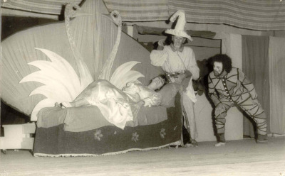 The theatrical-musical performance of "The Princess
