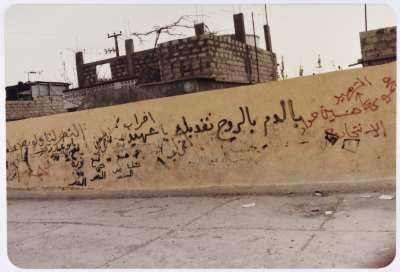 كتابة على الجدران، مخيم المية مية