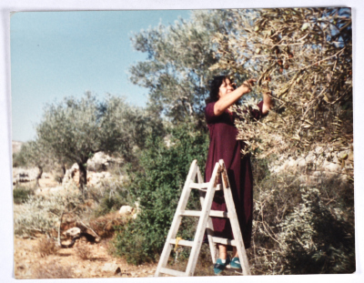Nahla Qura Picking Olives in Ramallah
