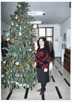 A Christmas Tree at Ramallah Municipality