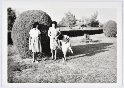 Layla Tarazi on a Trip to Egypt in the 60's