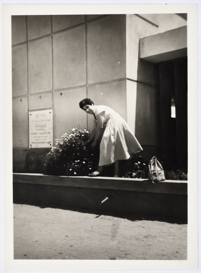 ليلى ترزي، مصر، 1960-1964