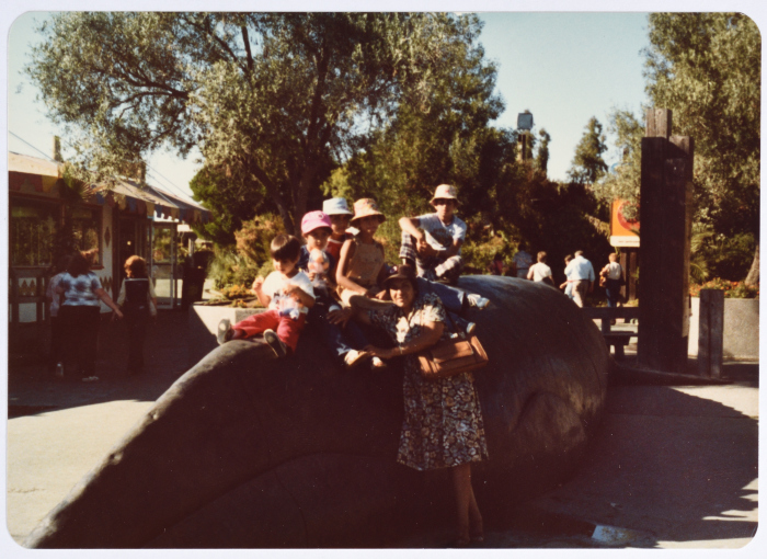 ليلى ترزي، الولايات المتحدة الأمريكية