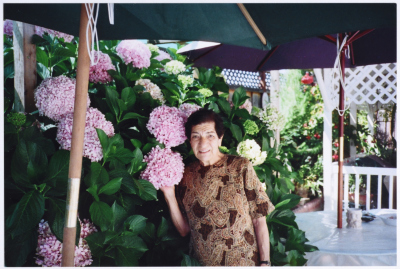 ليلى ترزي، الولايات المتحدة الأمريكية