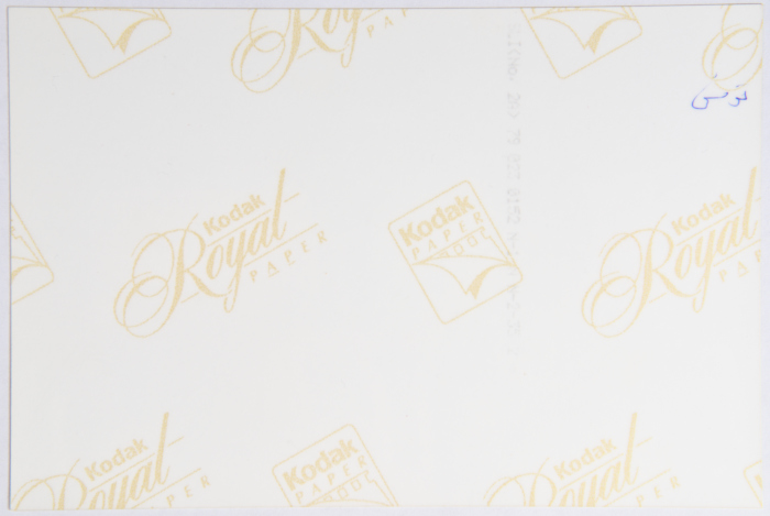 ليلى ترزي، تونس