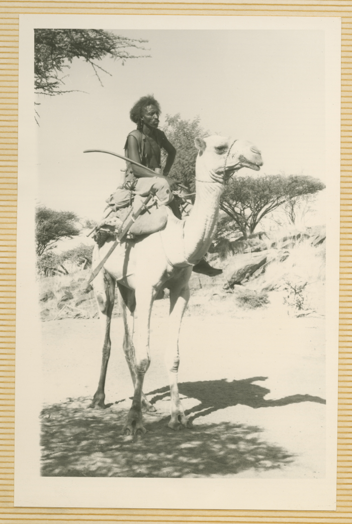 A Photograph Gifted by the Eritrean Liberation Front to Yasser Amro, 1961- 1993