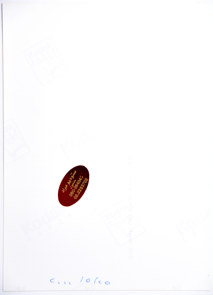 A Photograph of a Painting