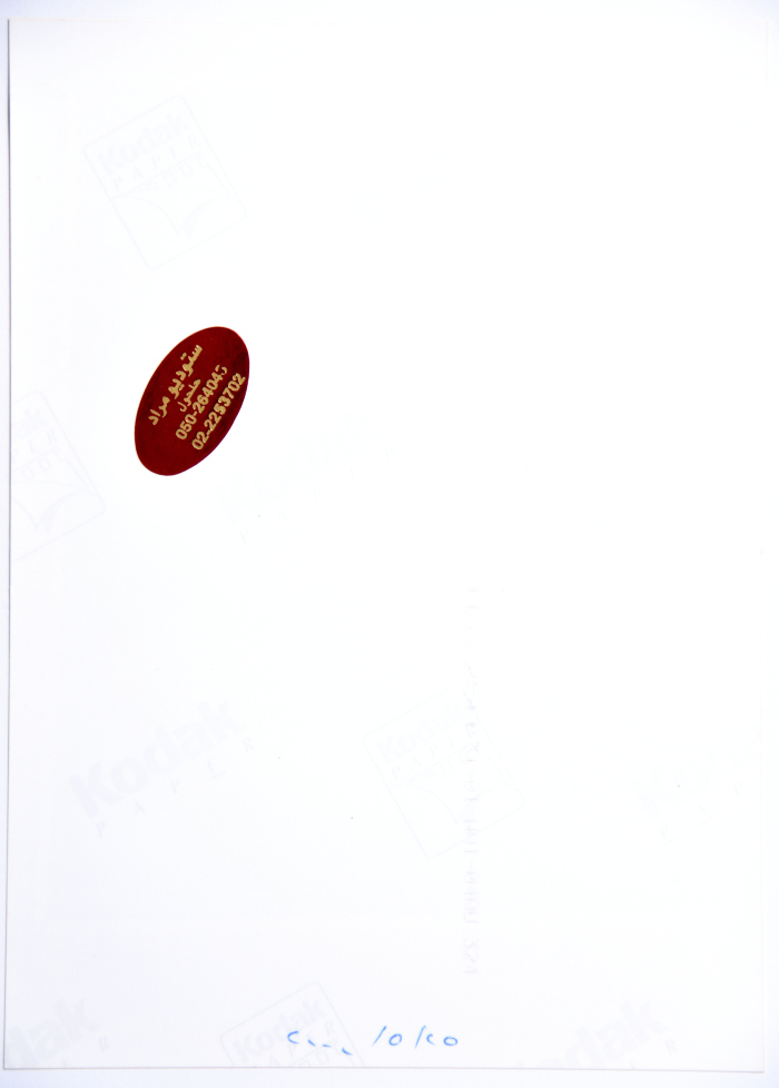 A Photograph of a Painting