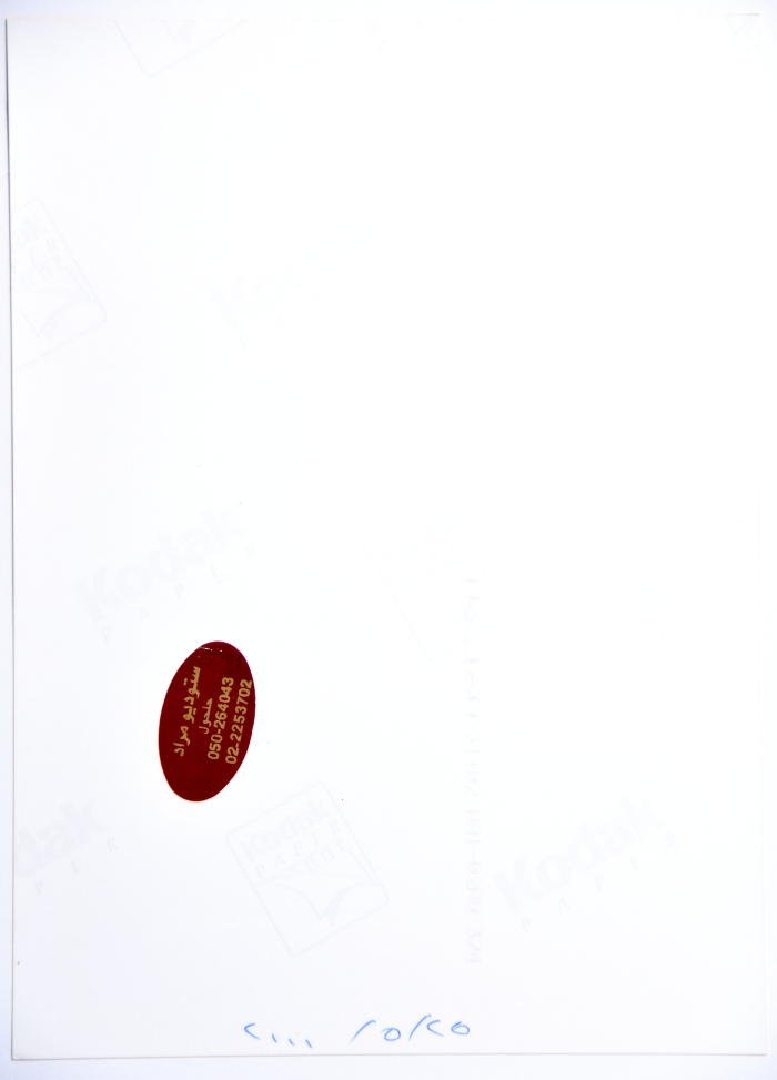A Photograph of a Painting