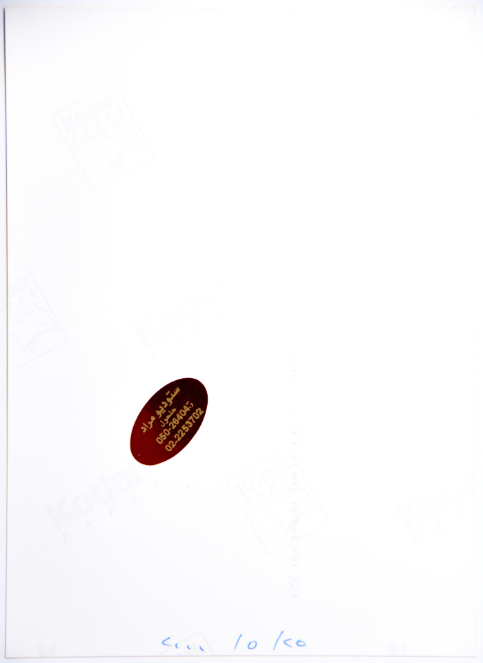 A Photograph of a Painting