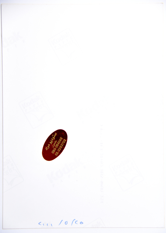 A Photograph of a Painting