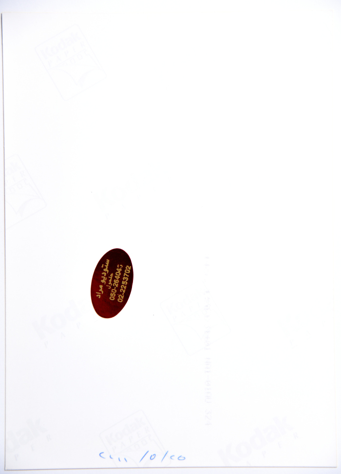 A Photograph of a Painting