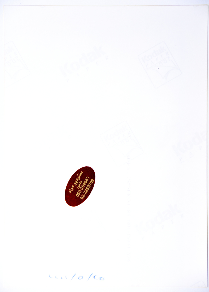 A Photograph of a Painting
