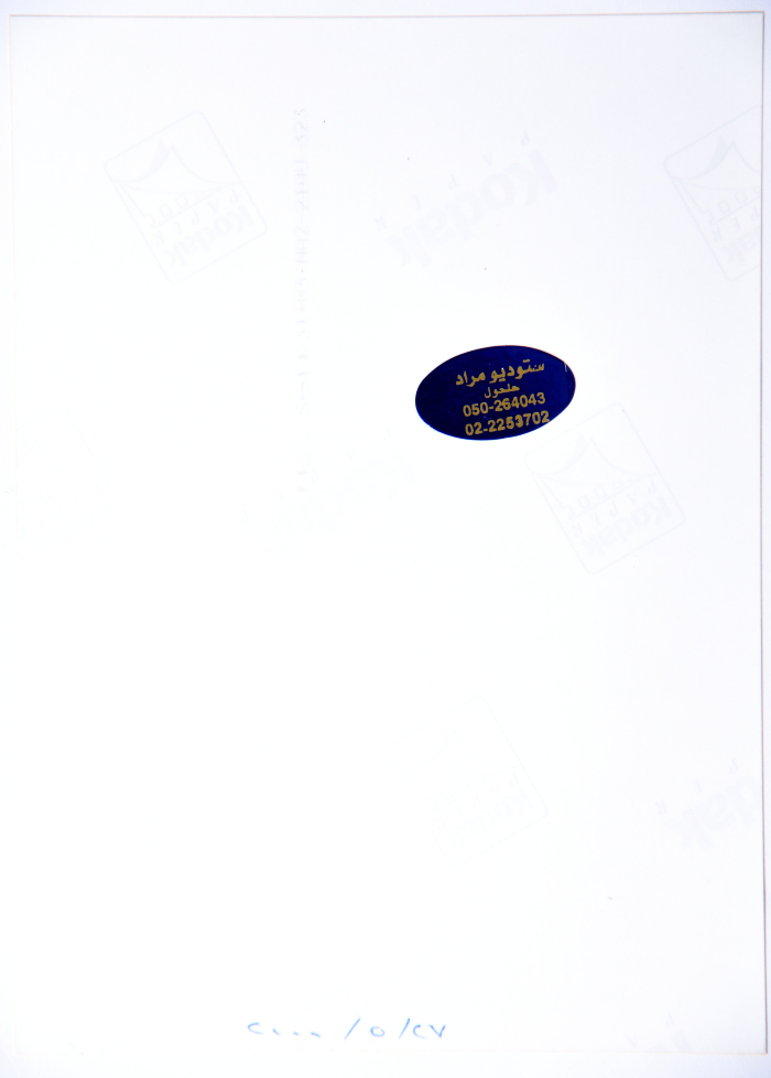 A Photograph of a Painting