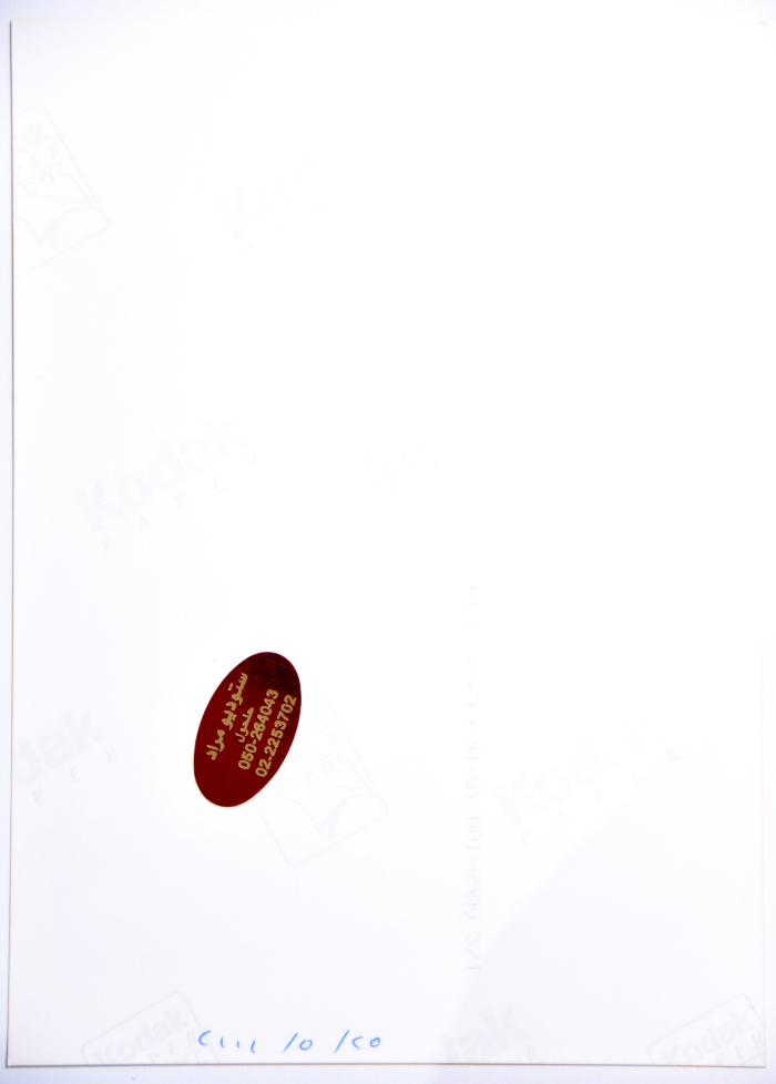 A Photograph of a Painting