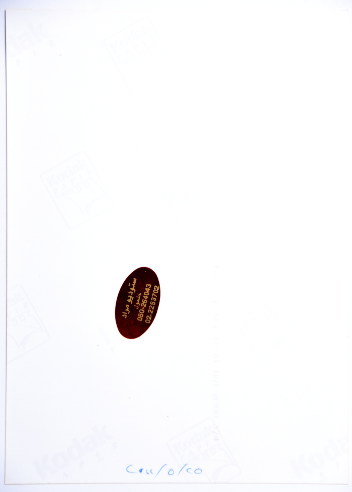 A Photograph of a Painting