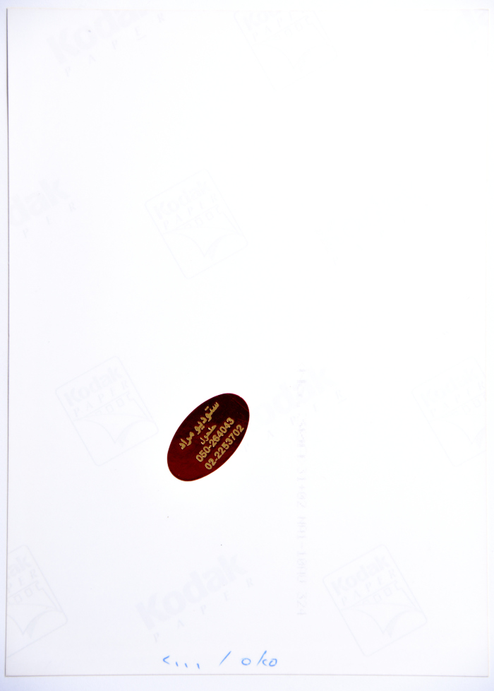 A Photograph of a Painting