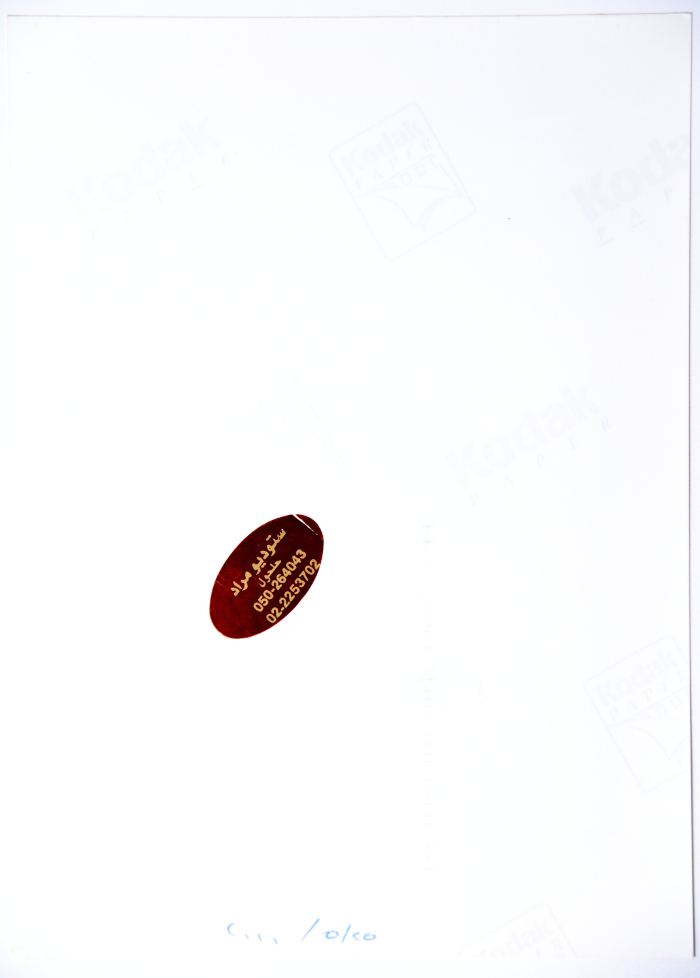 A Photograph of a Painting