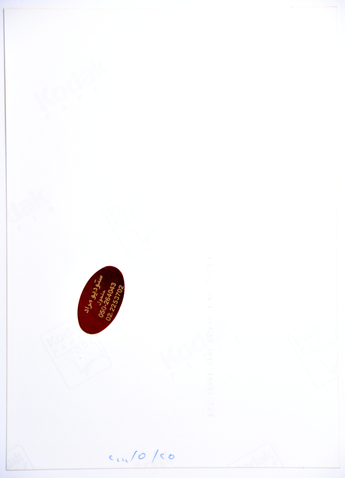 A Photograph of a Painting