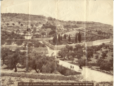 Garden of Gethsemane, Mount of Olives- Jerusalem, the early 20th Century