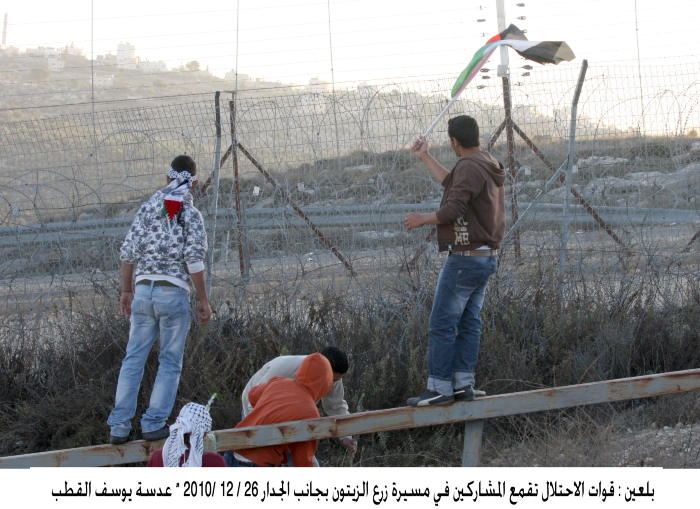 Occupation Forces repress a march for planting olives