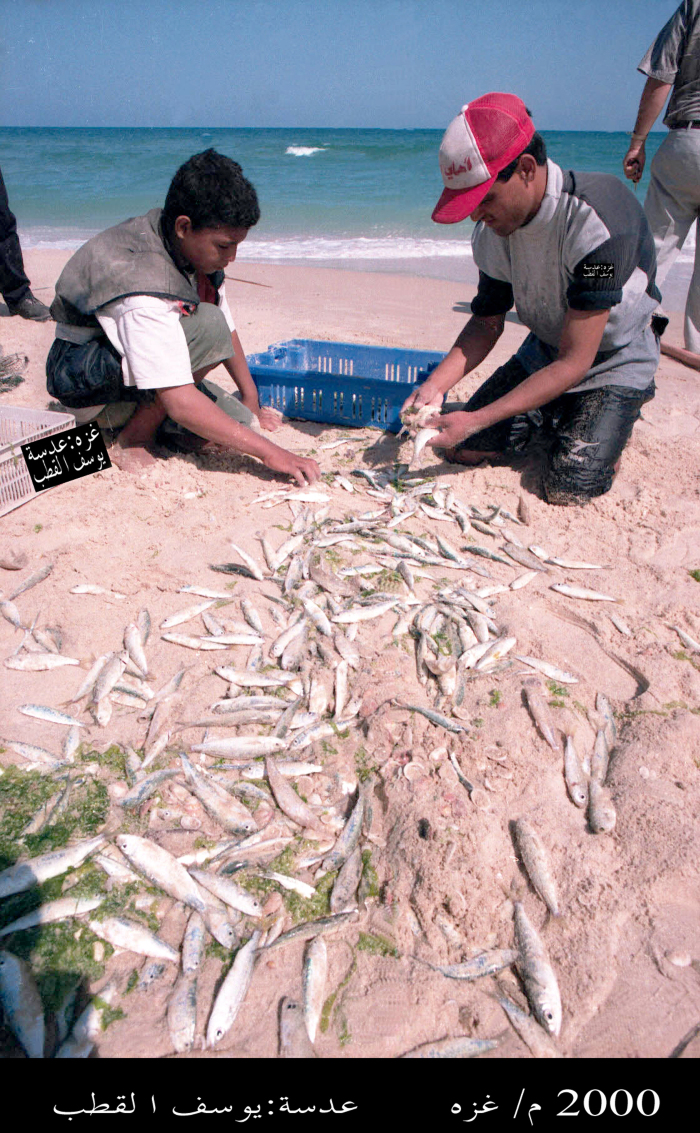مجموعة من الناس يصطادون الاسماك من بحر غزة 