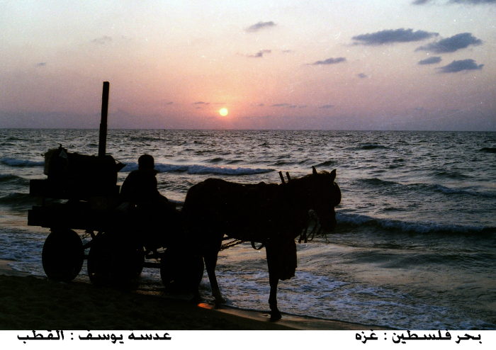 بحر غزة