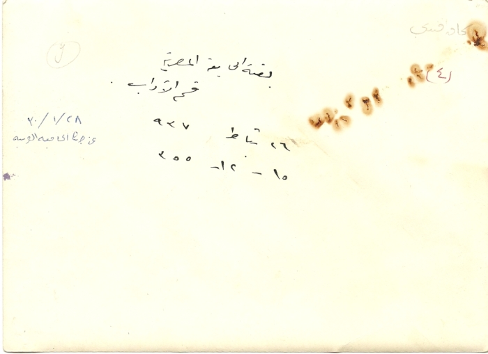 A Delegation from the Egyptian University to al-Haram ash-Sharif Courtyard, 1937