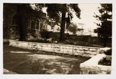 The Friends School Yard 