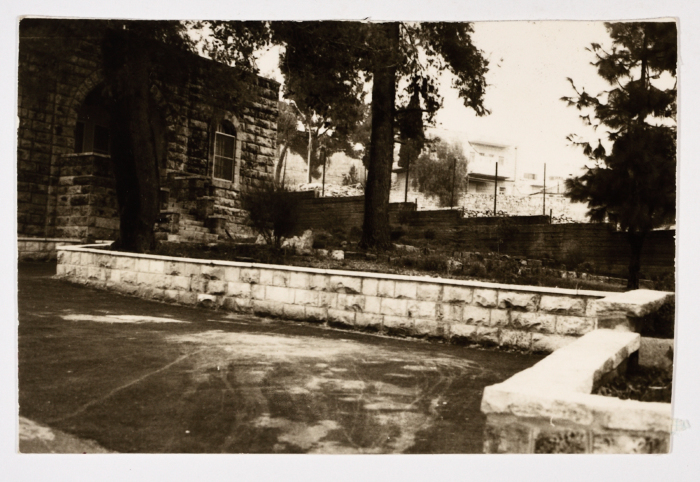 The Friends School Yard 