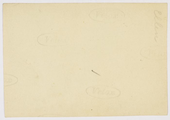 مجموعة سيدات في الخلاء