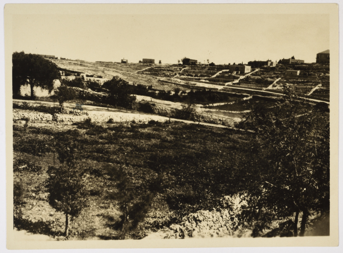 The Memorial Cottage Construction Site