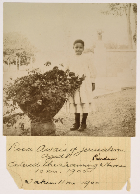 الطفلة روزا قواس