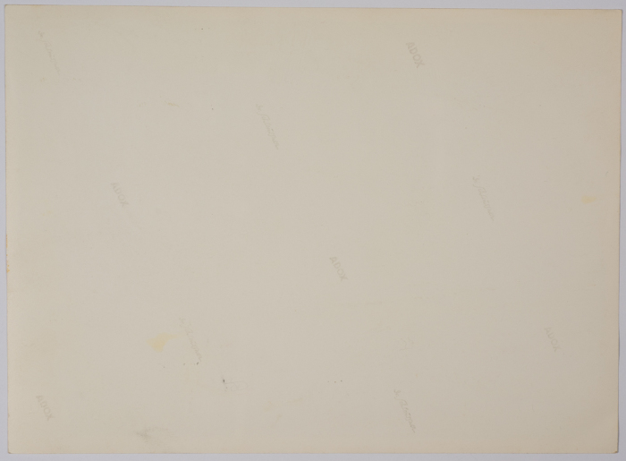 The Friends School Students 
