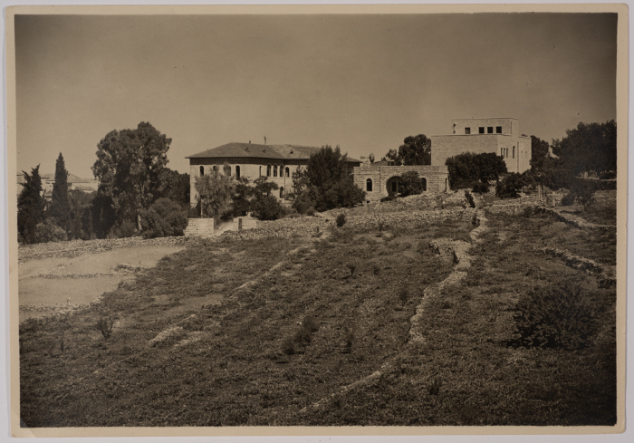 مدرسة الفرندز 