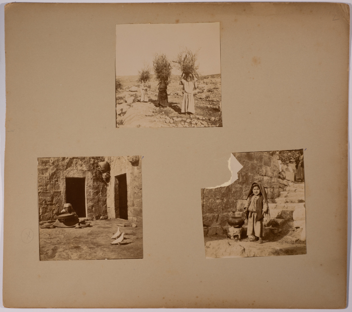 A Collection of Portraits 