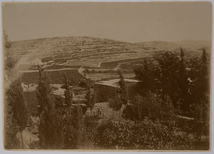 أراضي مدرسة الفرندز من الجهة الجنوبية