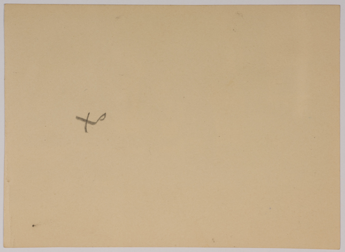 فتيات من مدرسة الفرندز يلعبن