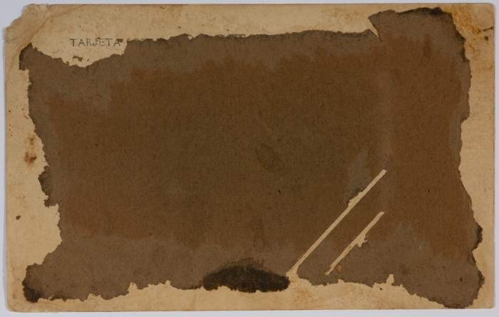 مجموعة أشخاص في سيارة 