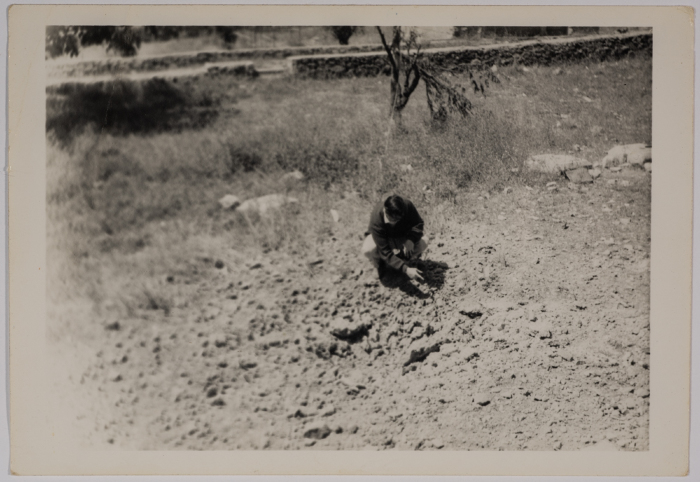 A Shell Hole Near the Friends School
