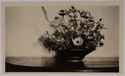 A Vase of Roses